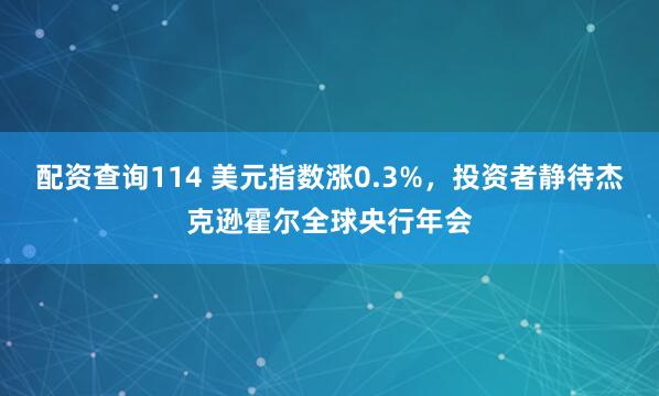 配资查询114 美元指数涨0.3%，投资者静待杰克逊霍尔全球央行年会